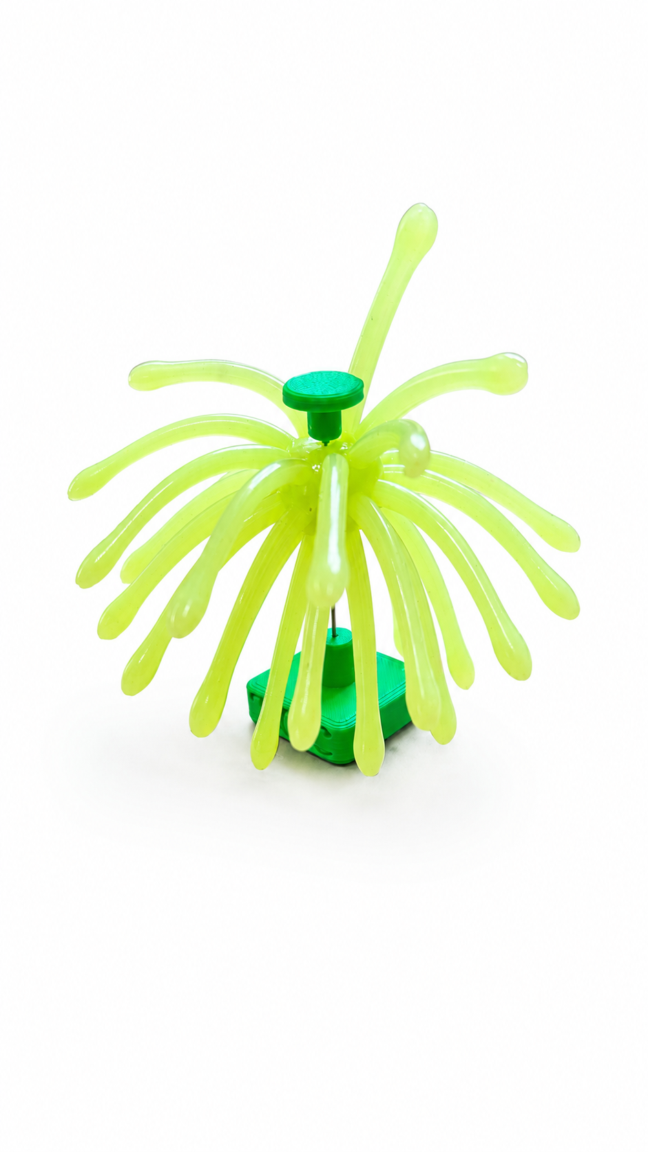 Urchin 19mm (Neon)