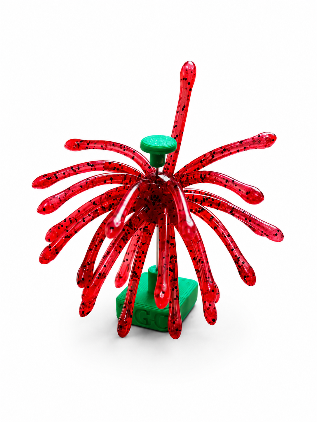 Urchin 19mm (Cherry Bomb)